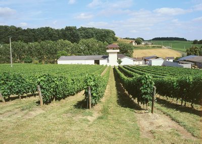 Le Moulin à Tan - Vin de Chinon